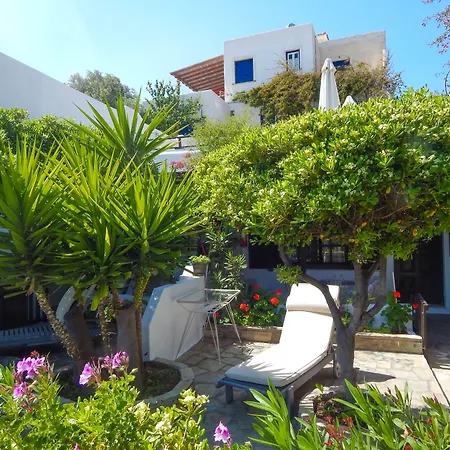 Arni Andros - αρνη Batsi