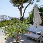 Arni Andros - αρνη Apartment Batsi (Andros)