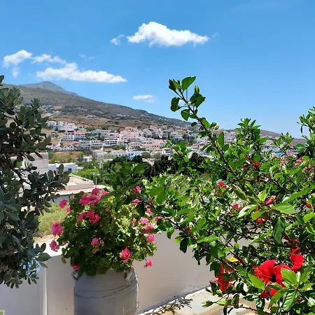 Arni Andros - αρνη Appartement