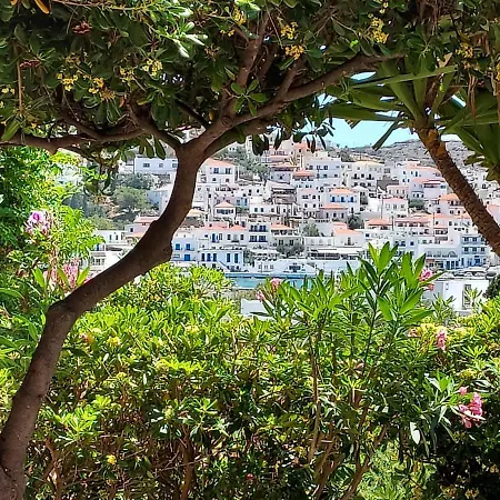 Arni Andros - αρνη Batsi (Andros)