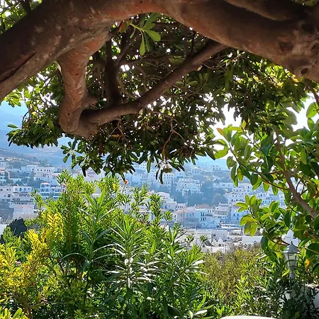 Apartment Arni Andros - αρνη Batsi (Andros)