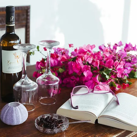 Arni Andros - αρνη *