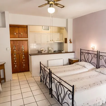 Arni Andros - αρνη Apartman Bací