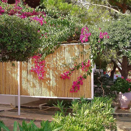 Arni Andros - αρνη