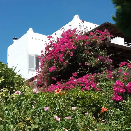 Arni Andros - αρνη Bací