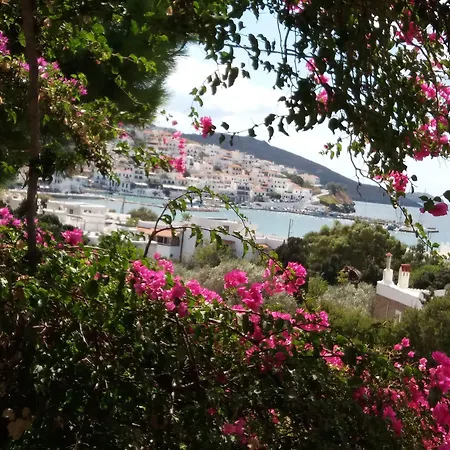 Arni Andros - αρνη Batsi (Andros)