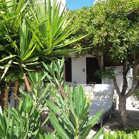 Arni Andros - αρνη * Bací