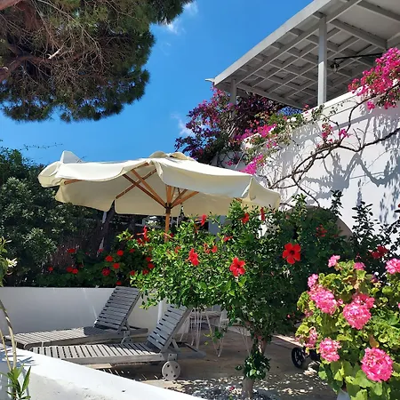Arni Andros - αρνη Apartamento Batsi