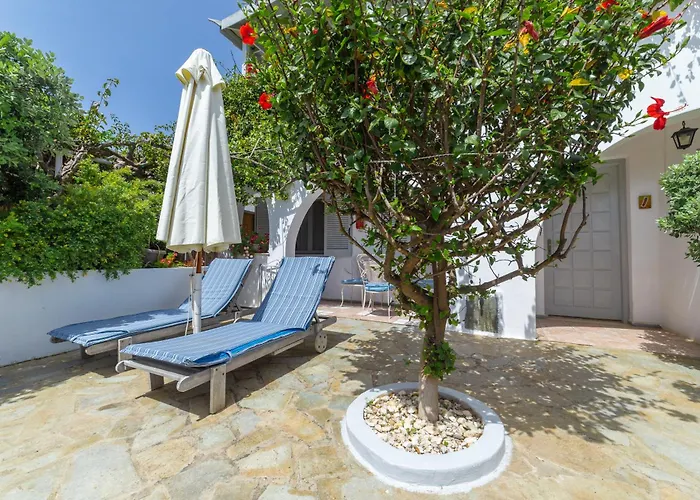 Arni Andros - αρνη * バトシ