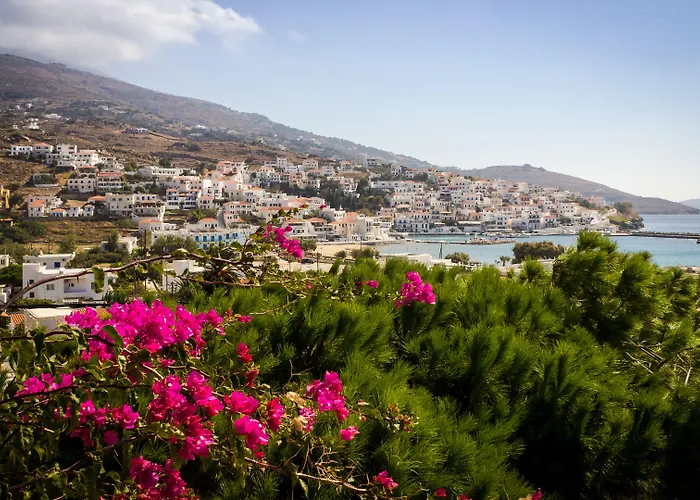 Arni Andros - αρνη Apartament Batsi