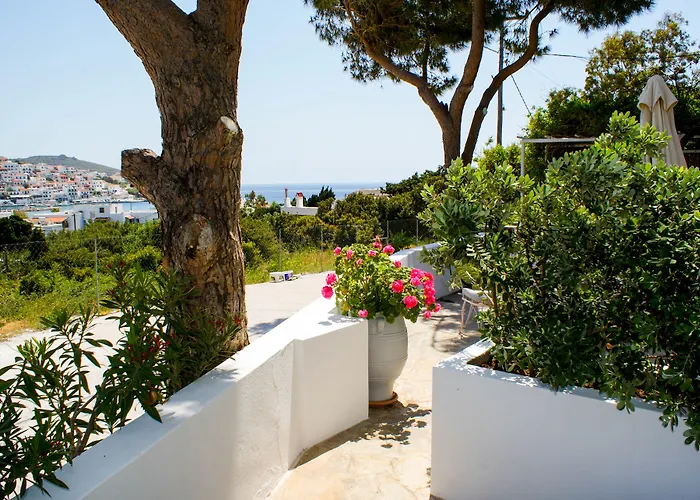 Arni Andros - αρνη Apartament Batsi