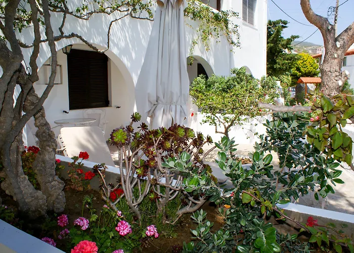 Arni Andros - αρνη Apartament Batsi