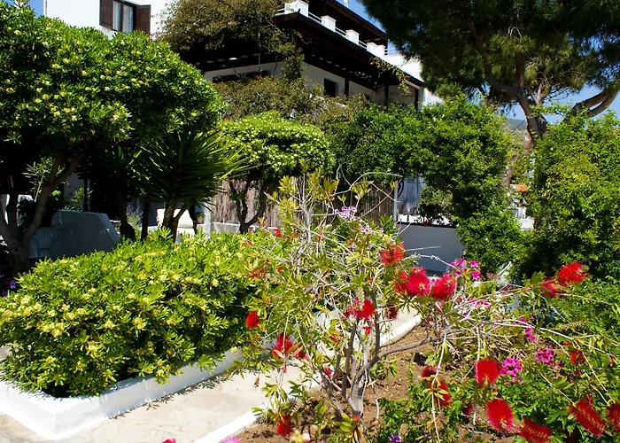 Arni Andros - αρνη Apartament