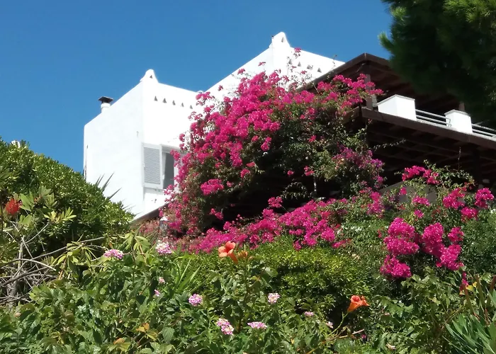 Arni Andros - αρνη バトシ