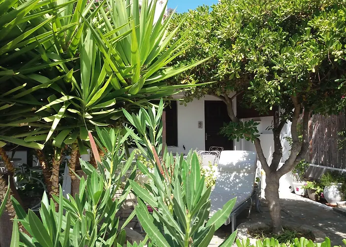 Arni Andros - αρνη * バトシ