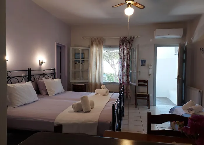 Apartament Arni Andros - αρνη Batsi